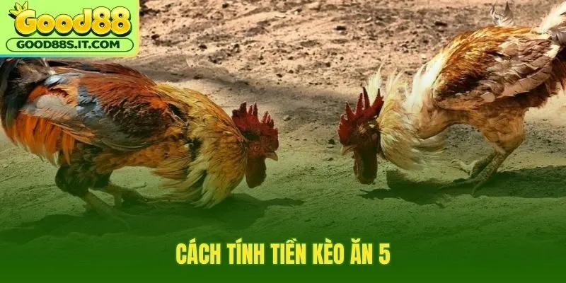 Công thức nửa vốn cho phần lời kèo ăn 5