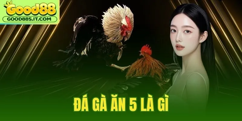 Đá Gà Ăn 5 Là Gì
