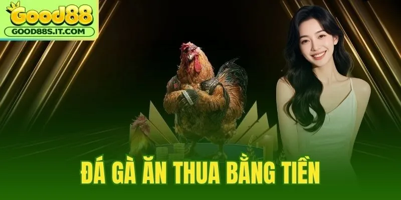 Đá Gà Ăn Thua Bằng Tiền