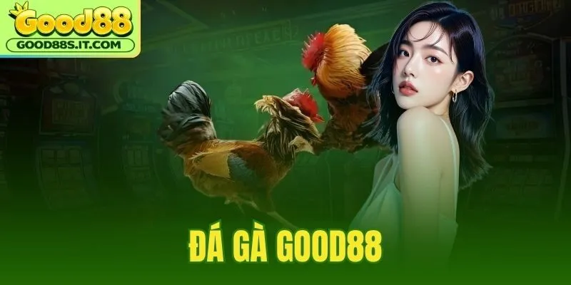 Đá Gà Good88
