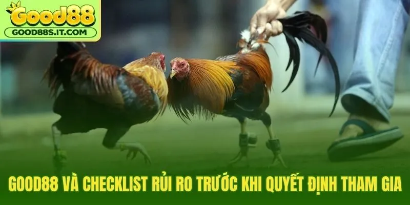 Quy trình tự bảo vệ và kiểm tra nền tảng cá cược