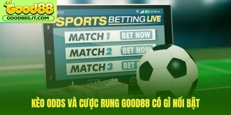 Odds thể thao Good88 cập nhật nhanh cho kèo live sát nhịp