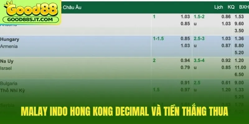 Bốn định dạng odds và cách tách tiền lời ròng
