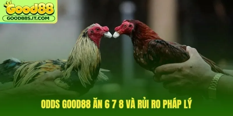Odds ăn 6 7 8 và giới hạn pháp lý cần nhớ