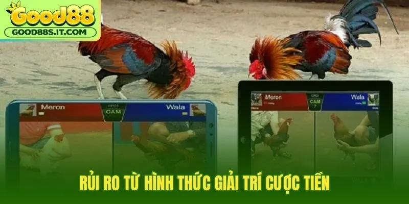 Ranh giới giữa thú vui truyền thống và việc đặt cược tài sản
