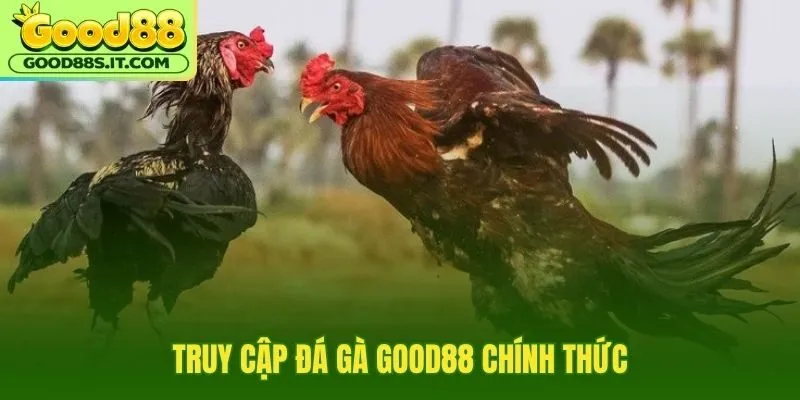 Cổng đá gà Good88 an toàn với xác thực rõ ràng