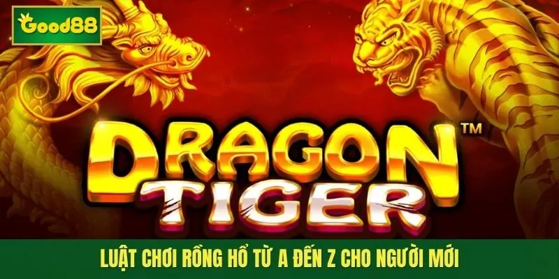 Luật Chơi Rồng Hổ Từ A Đến Z Cho Người Mới Dễ Tiếp Cập